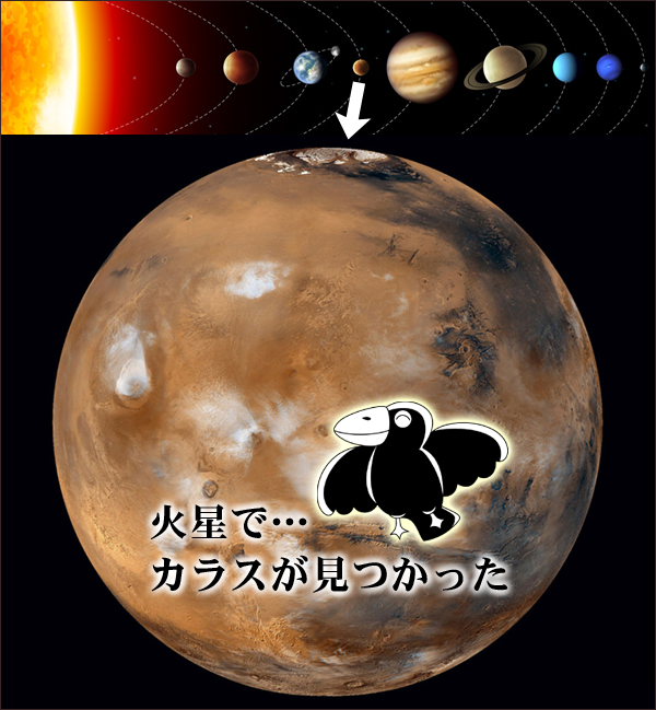 火星でカラス フードビジネス 専門家 研究所 ファインド 札幌 太田耕平