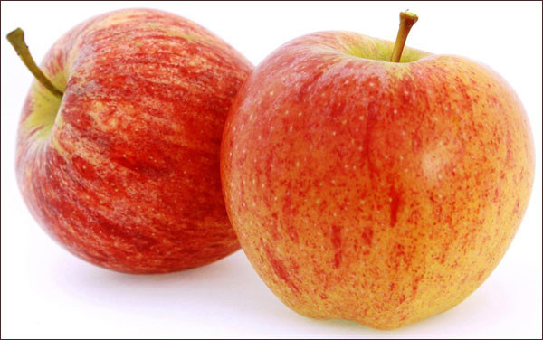 フードビジネス 専門家 研究所 ファインド 札幌 太田耕平 ブログ 口コミ クチコミ