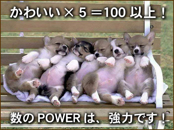 食ビジネス 専門家 研究所 ファインド 札幌 太田耕平 ブログ 口コミ クチコミ